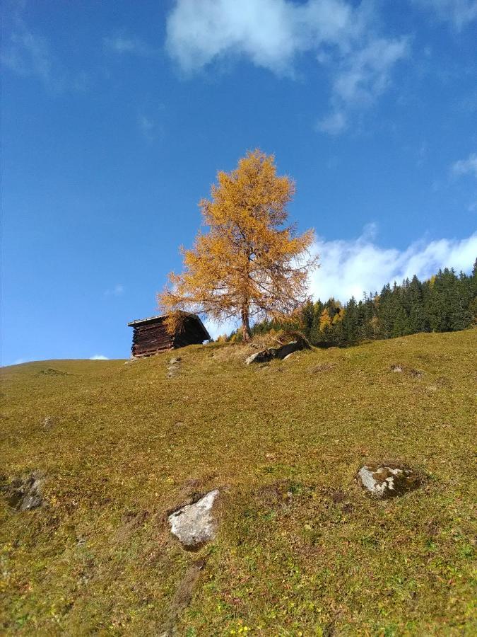 Ferienwohnung Felix-Adults Only Neustift im Stubaital Luaran gambar